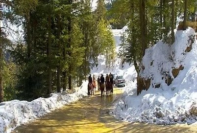image (7)
