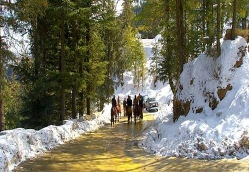 shimla-kullu-manali-honeymoon-tour-package-from-karve-nagar-500x500
